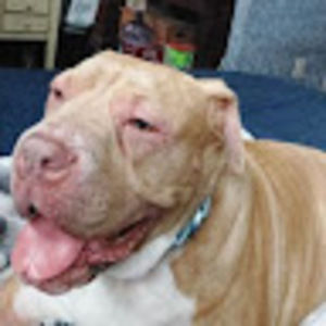 Meet your Posher, Isabelle